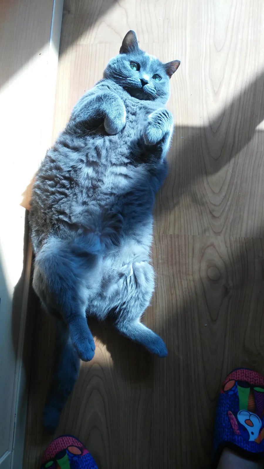 Nami tumbada boca arriba bajo una franja de luz