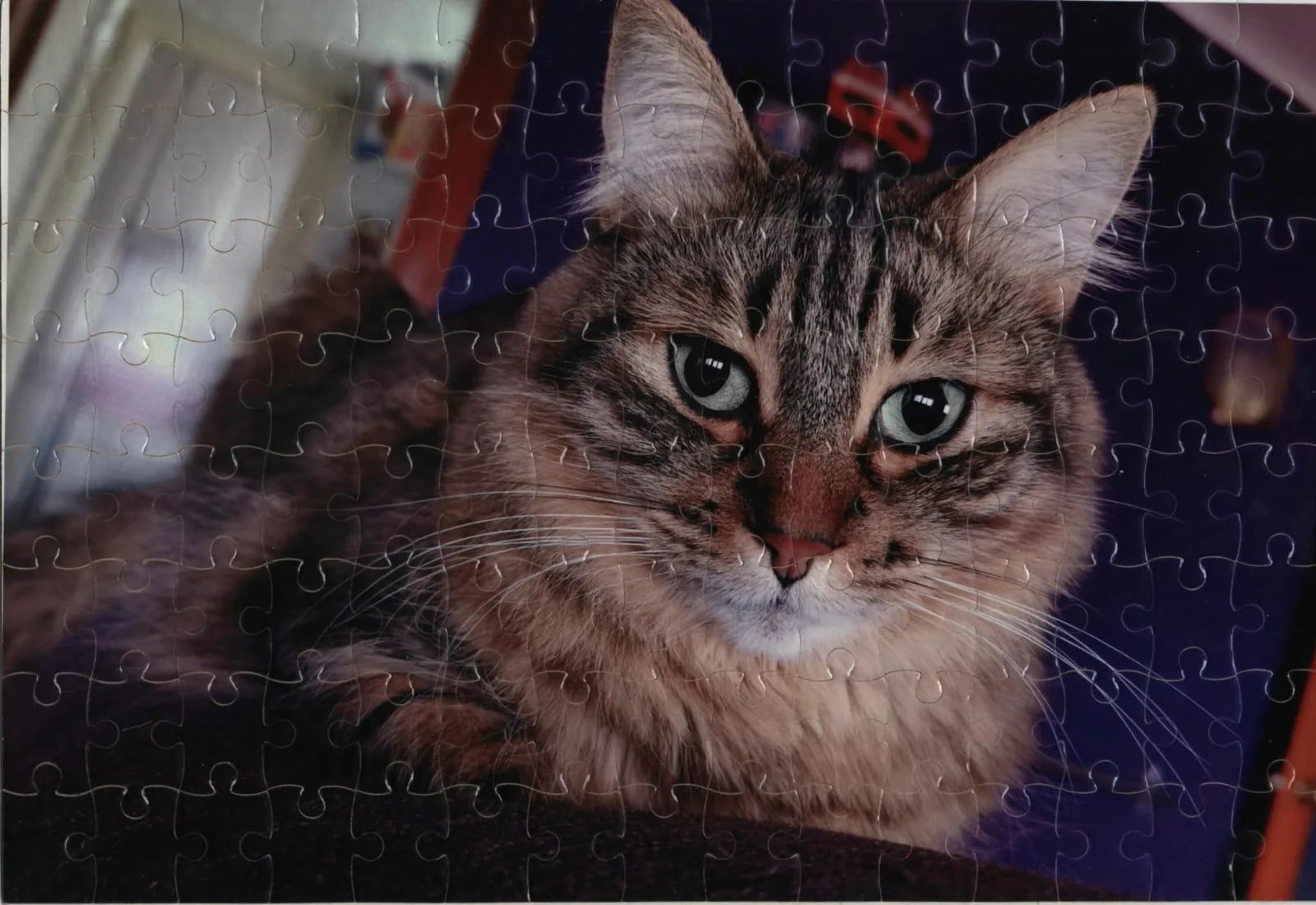 Puzzle personalizado terminado 3